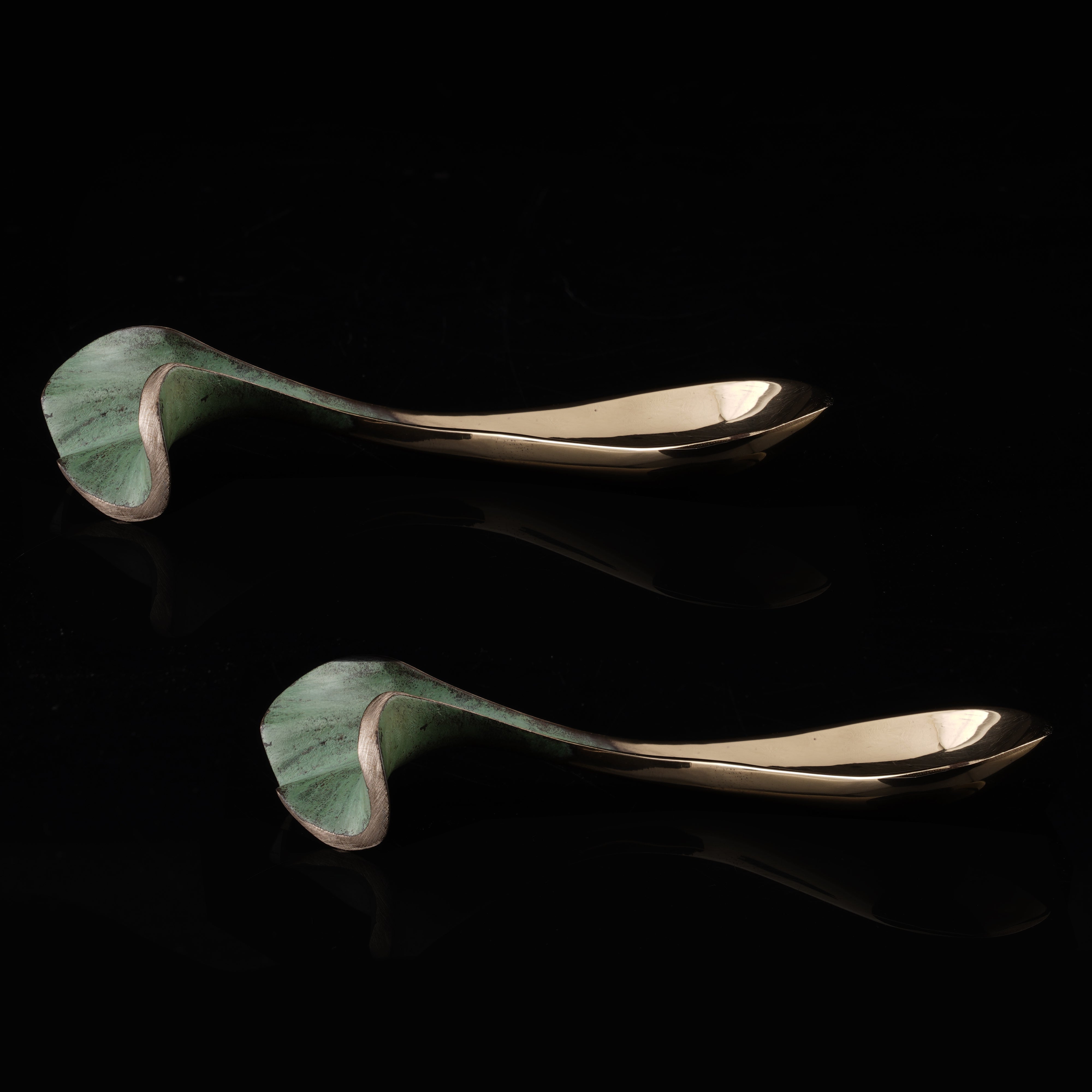 Ginko Brass Spoon Set of 2