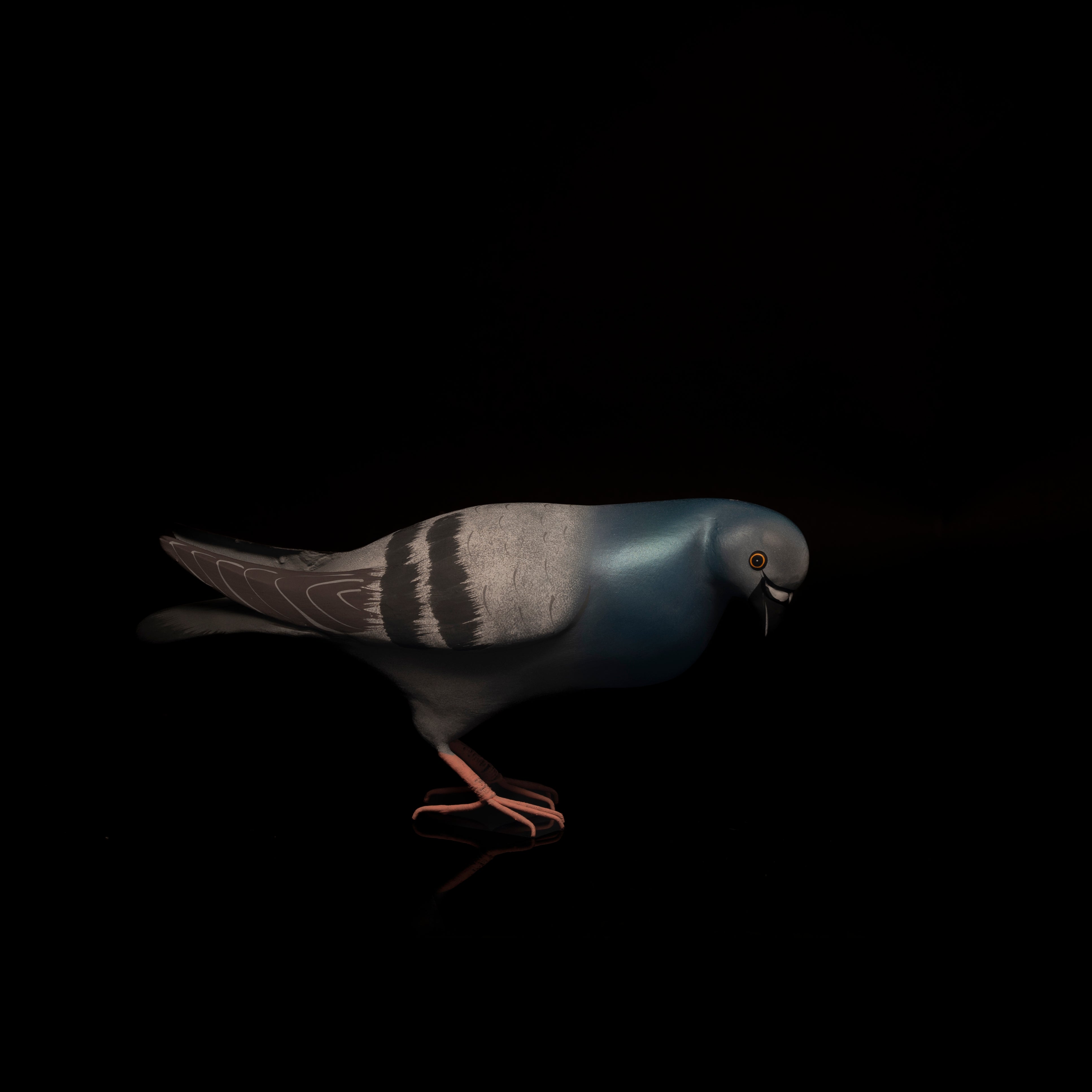 Paper Mache Pigeon