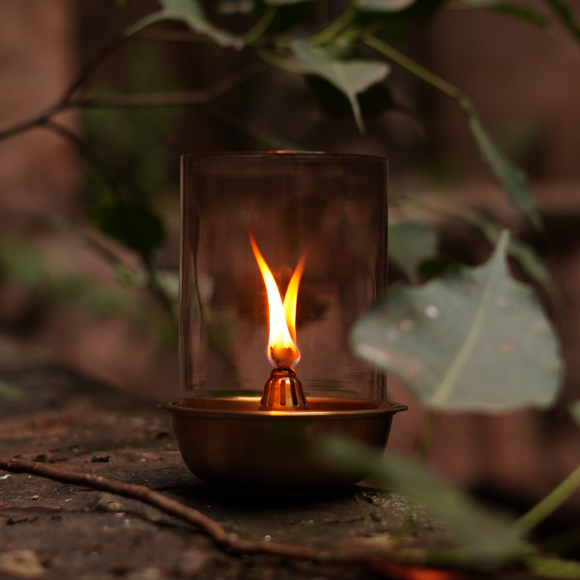 Chiraag Oil Lamp Home Objects Lighting & Fragrances Living Pooja Evergreen Diwali Festive